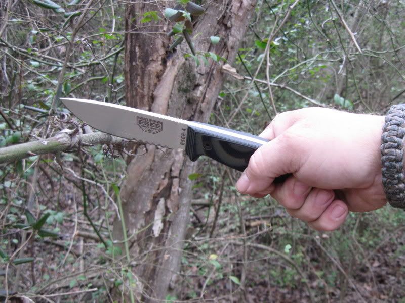 Custom ESEE Scales Form TheKnifeConnection